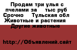 Продам три улья с пчелами за 11 тыс руб. Срочно! - Тульская обл. Животные и растения » Другие животные   
